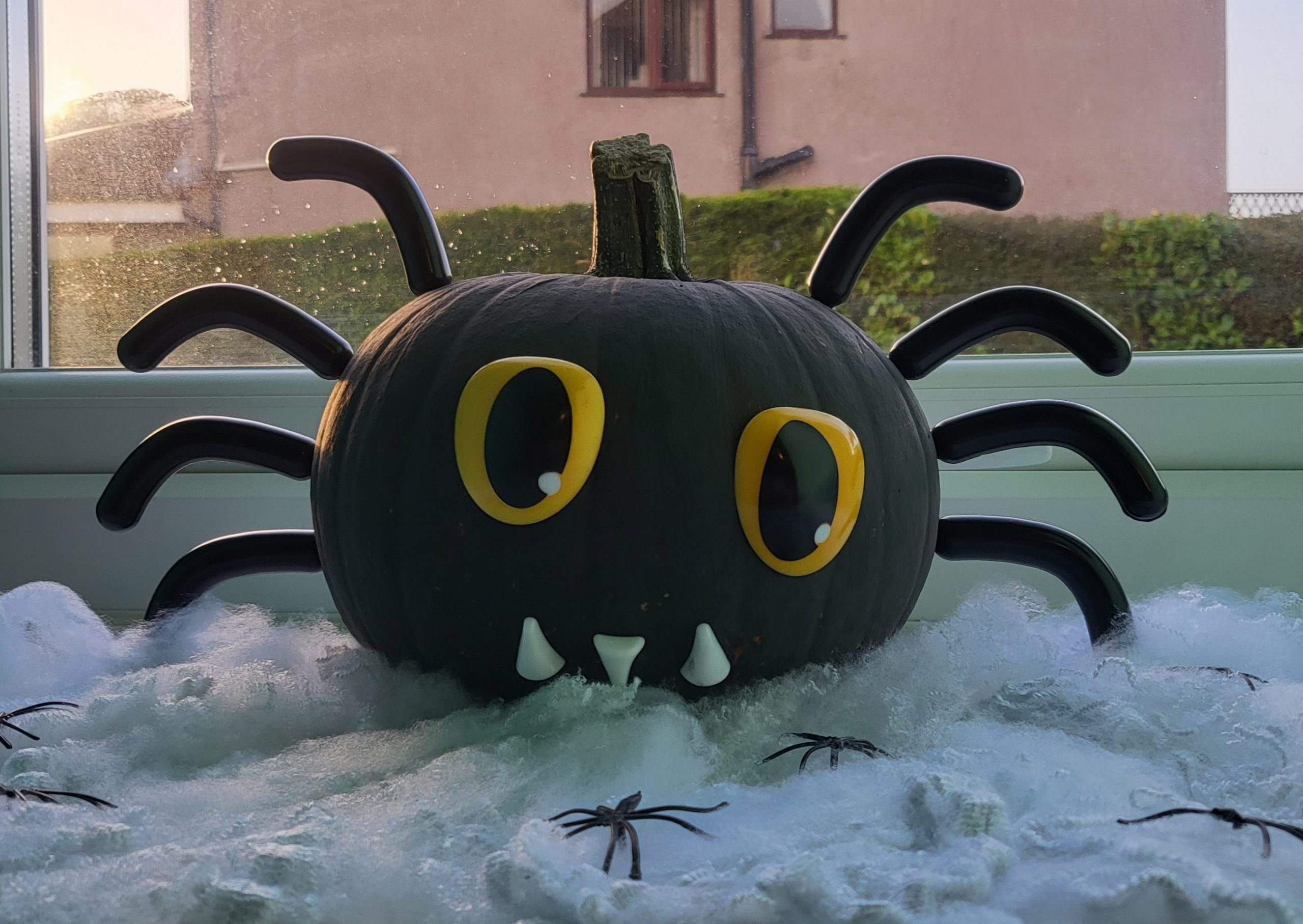 Pumpkin Contest Winner, a black pumpkin with black legs and spider face.