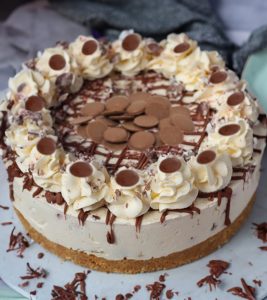 Chocolate Button Cake 